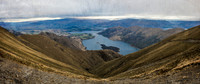 _D132995-457x298