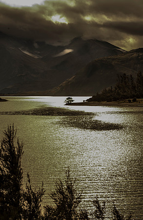 _D132818-457x298