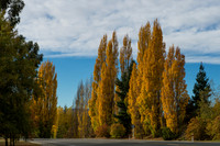 Colour -1