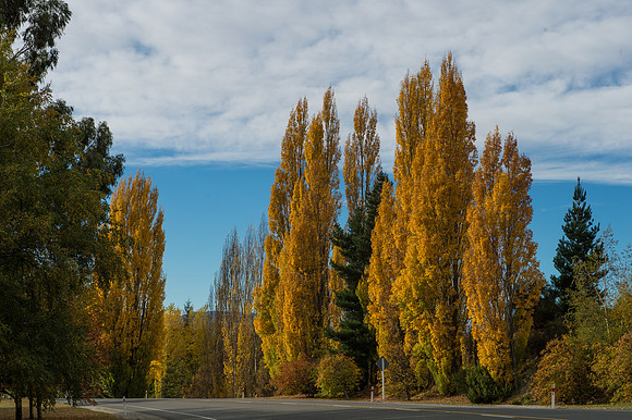 Colour -1