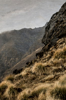 _D132906-5094