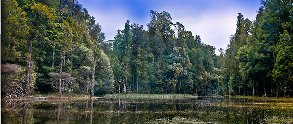 Western Bays Taupo