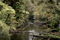 240404 Westcoast 07DSC06738
