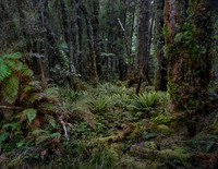 240404 Westcoast 17DSC06765