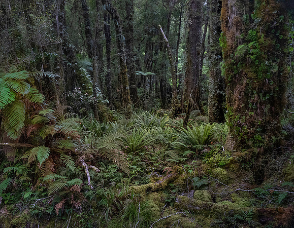 240404 Westcoast 17DSC06765