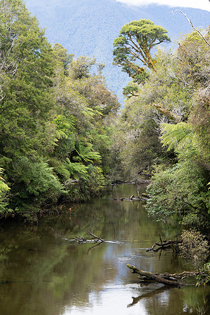 240404 Westcoast 05DSC06735