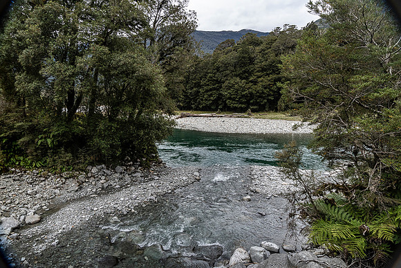 240404 Westcoast 15DSC06758