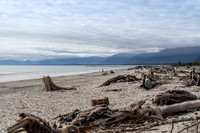 240404 Westcoast 10DSC06747