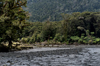 240404 Westcoast 20DSC06779