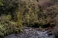 240404 Westcoast 14DSC06755-ENR