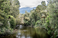 240404 Westcoast 12DSC06749