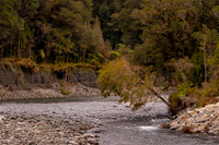 240404 Westcoast 16DSC06759