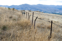 240408 Maniatoto 04DSC07430