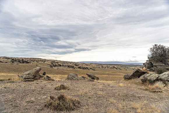 240408 Maniatoto 12DSC07445