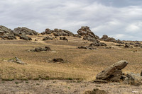240408 Maniatoto 10DSC07442