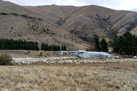 240408 Maniatoto 02DSC08066