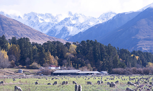 240501 Geraldine42DSC09800