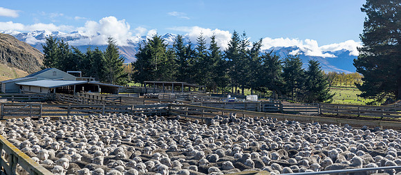 240501 Geraldine39DSC09782-Pano