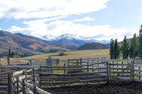240501 Geraldine05DSC09671