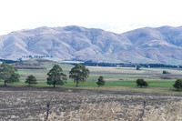 240501 Geraldine04DSC09656