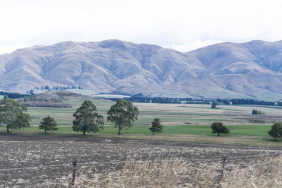 240501 Geraldine04DSC09656