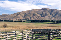 240501 Geraldine06DSC09673