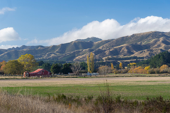 240501 Geraldine71DSC09916