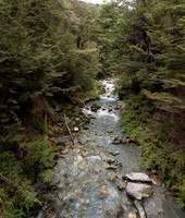 240323 Glenorchy 09DSC06121