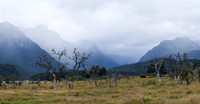 240323 Glenorchy 14DSC06202