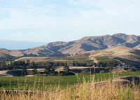 240201 Blenheim 03DSC04942