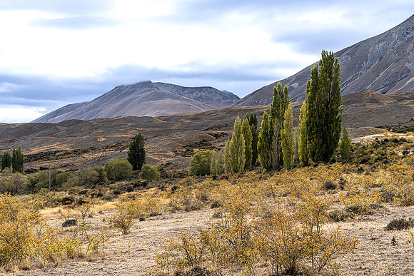 240204 Tekapo (Godley Valley) 03DSC05150