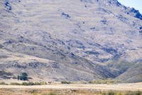 240320 Nevis Vally 15DSC05754