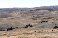 240320 Nevis Vally 06DSC05814