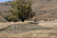 240320 Nevis Vally 12DSC05807