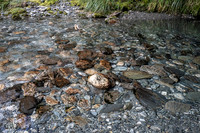 240402 Haast08DSC06688