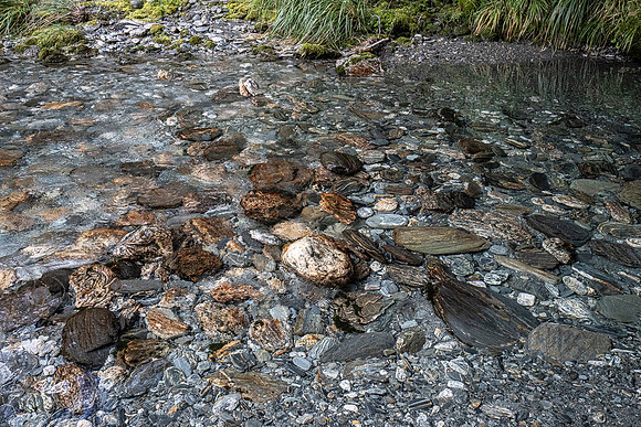 240402 Haast08DSC06688