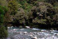 240402 Haast07DSC06719
