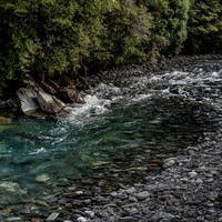 240402 Haast03DSC06699