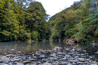 240402 Haast04DSC06702