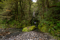 240402 Haast02DSC06685