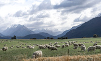 240330 Wanaka  Matukituki 16DSC06265