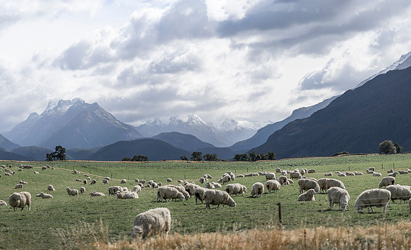 240330 Wanaka  Matukituki 16DSC06265
