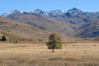240320 Nevis Vally 18DSC05767