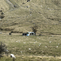 240330 Wanaka  Matukituki 17DSC06526