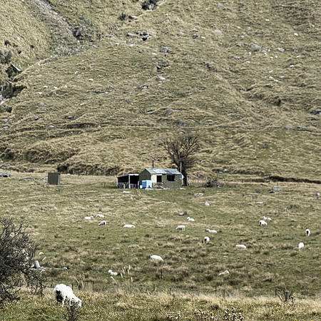 240330 Wanaka  Matukituki 17DSC06526