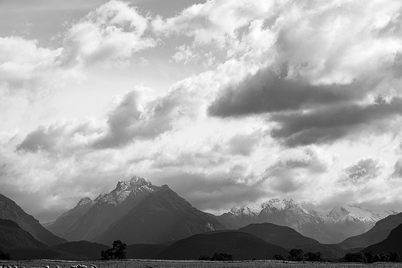 240330 Wanaka  Matukituki 14DSC06262