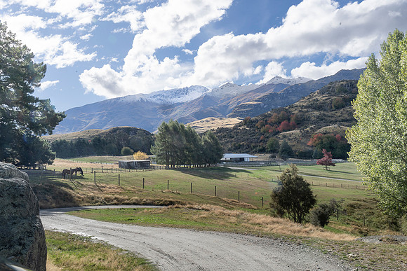 240330 Wanaka  Matukituki 12DSC06363-2