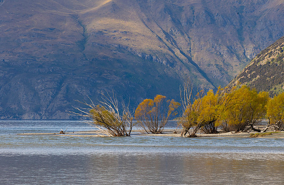 240330 Wanaka  Matukituki 08DSC06383