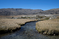 240320 Nevis Vally 20DSC05762