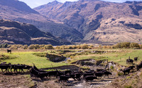 240406 Wanaka 09DSC06976